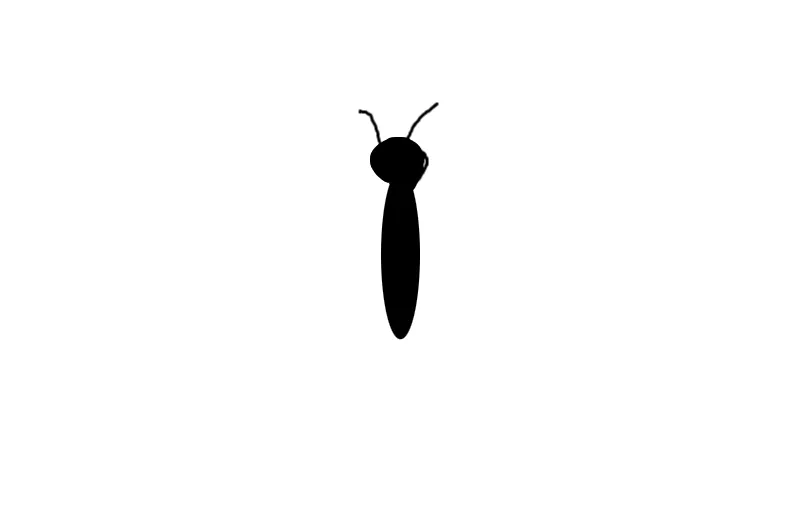 Animation 10/19/2026