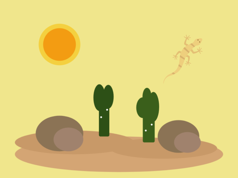 Desert with a lizard