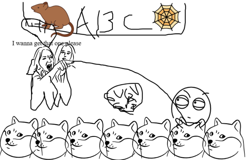 adoption centre for cats