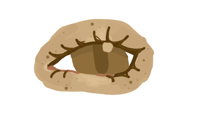 eyeballl
