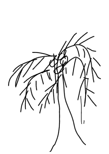 Drawing of My Creation created on DrawIsland