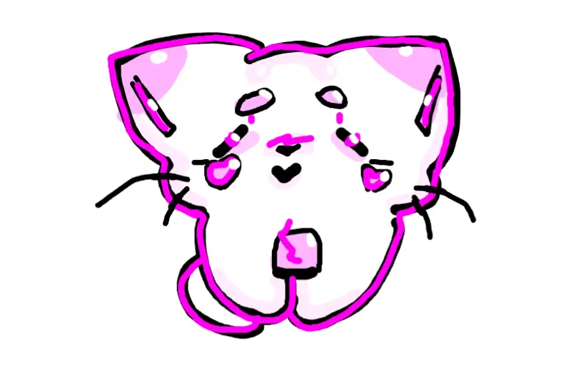 chloe cat oc read dis