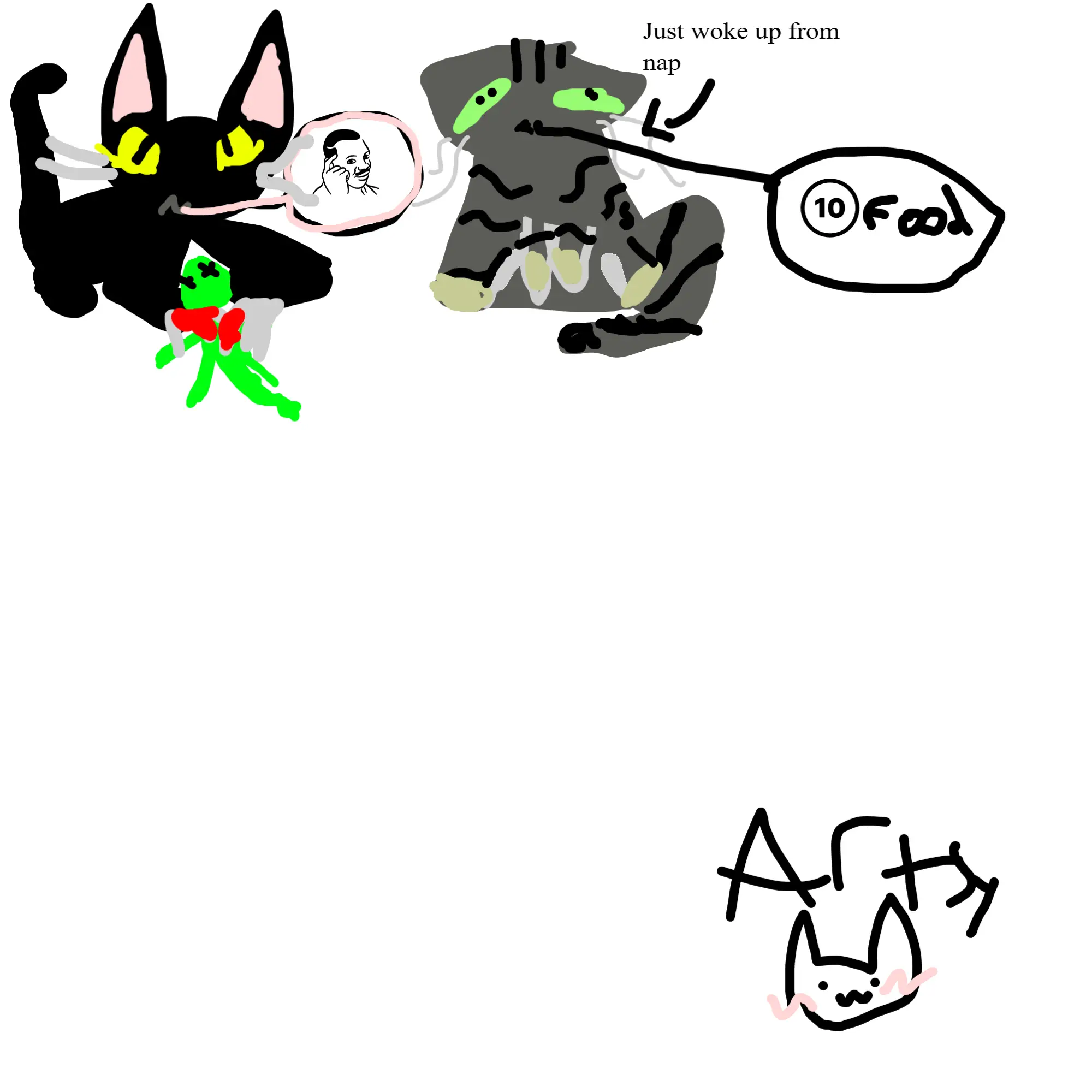 My cats in the present day