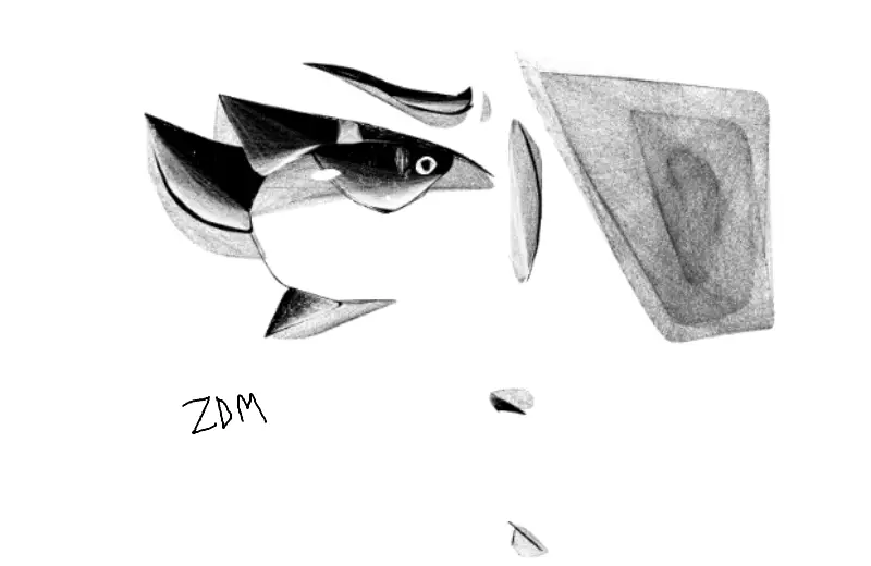 face thingy