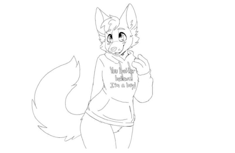 Drawing of Fox sketch created on DrawIsland