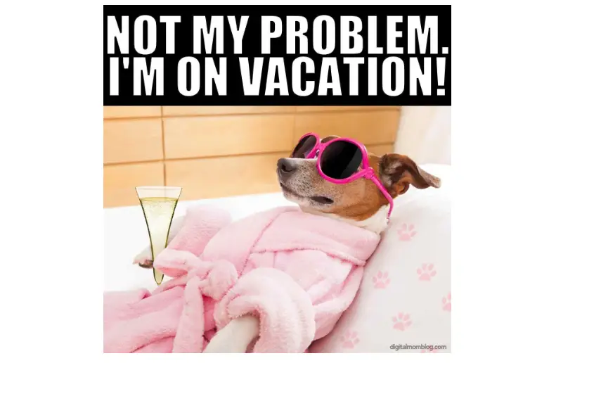 guys FOR THE LOVE OF GOD check description