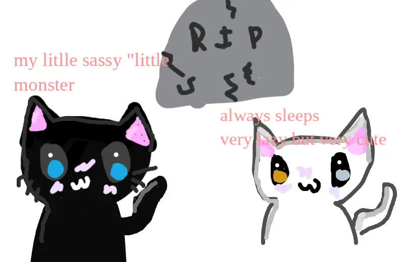Drawing of my dead cats created on DrawIsland