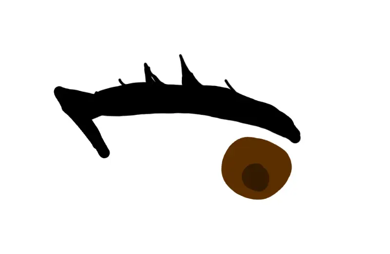 Drawing of eyes in irl created on DrawIsland