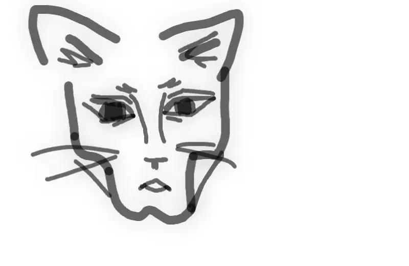 kitty