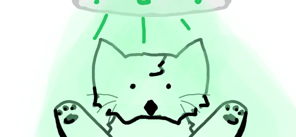 Help my cat is being taken by a ufo