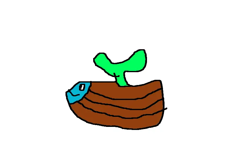 spacetion fruit