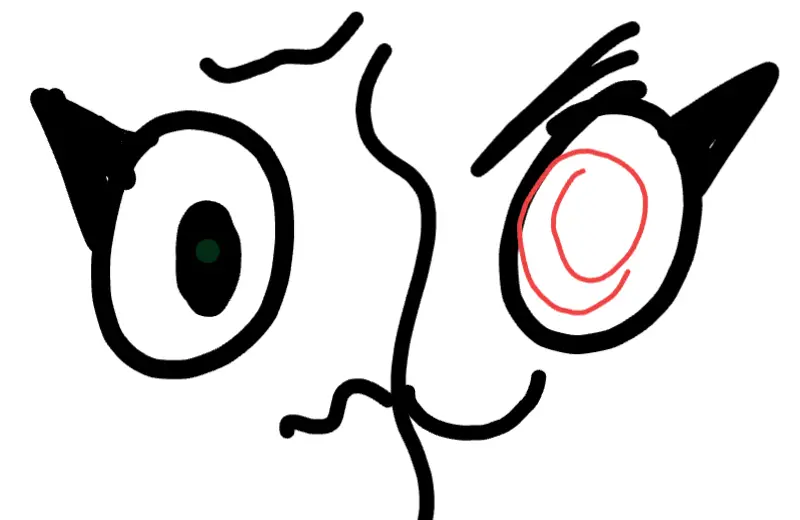 border of emotions?