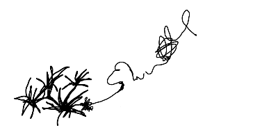 Drawing of Untitled 2026-07-26 created on DrawIsland