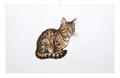 cat meow