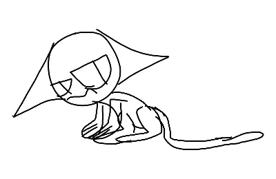 Cat is mad