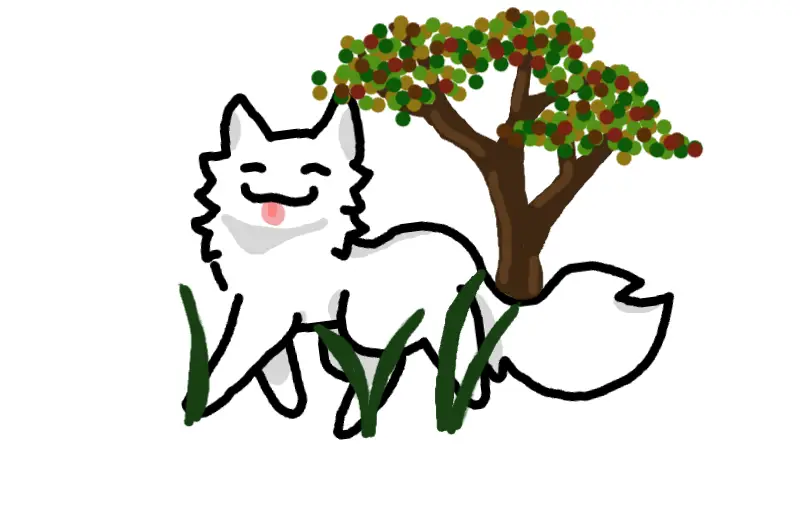 Cat :3
