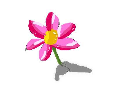 Flowers 🌺