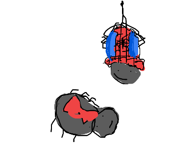 Spider