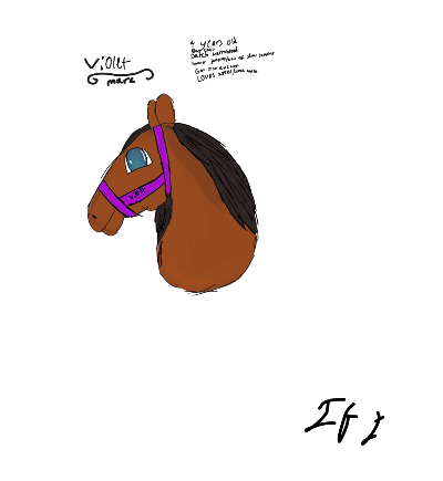 Drawing of Info about violet created on DrawIsland
