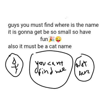 Guys you must find where is the name and it is a cat 🐈